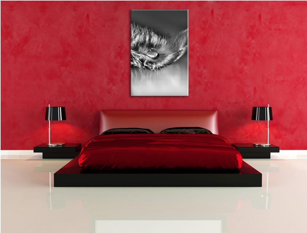 Pixxprint Wassertropfen auf Feder als Leinwandbild/Grösse: 100x70 / Wandbild/Kunstdruck/fertig bespa