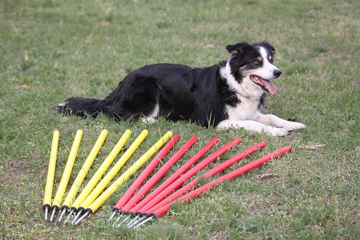 Wuzzmann Agility-ÜBUNGS-Slalom-Set ROT/GELB, 12 RUNDE STANGEN