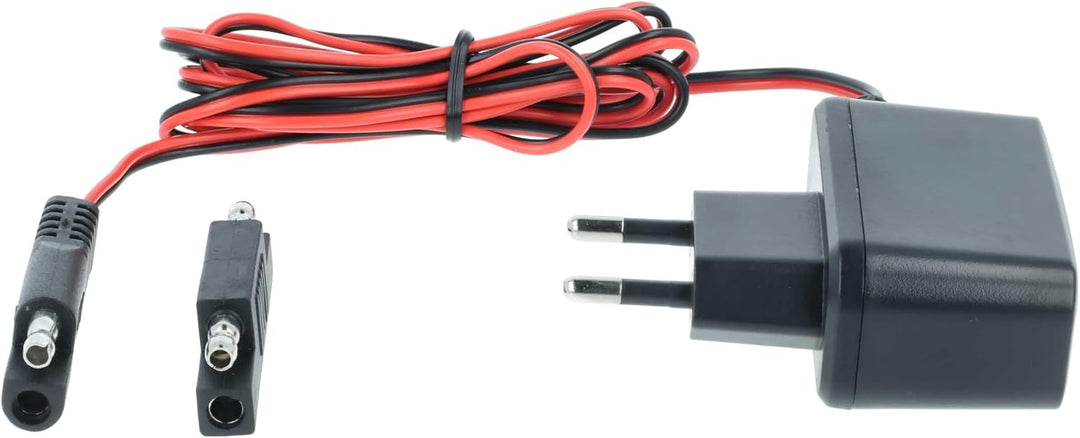 vhbw Ladegerät für Starter Akkus kompatibel mit Scheppach Rasenmäher, 12 V / 0,1 A, 2m