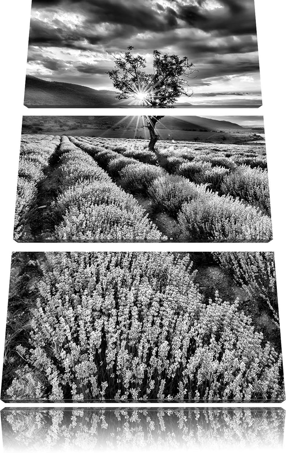 Pixxprint Lavendel Provence als Leinwandbild/Grösse: 3 Teilig (120x80) cm/Wandbild/Kunstdruck/fertig