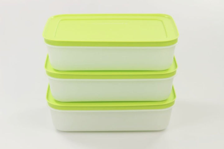 TUPPERWARE Gefrier-Behälter (3) Eis-Kristall Eiskristall 1,0 L grün-weiss flach 29739