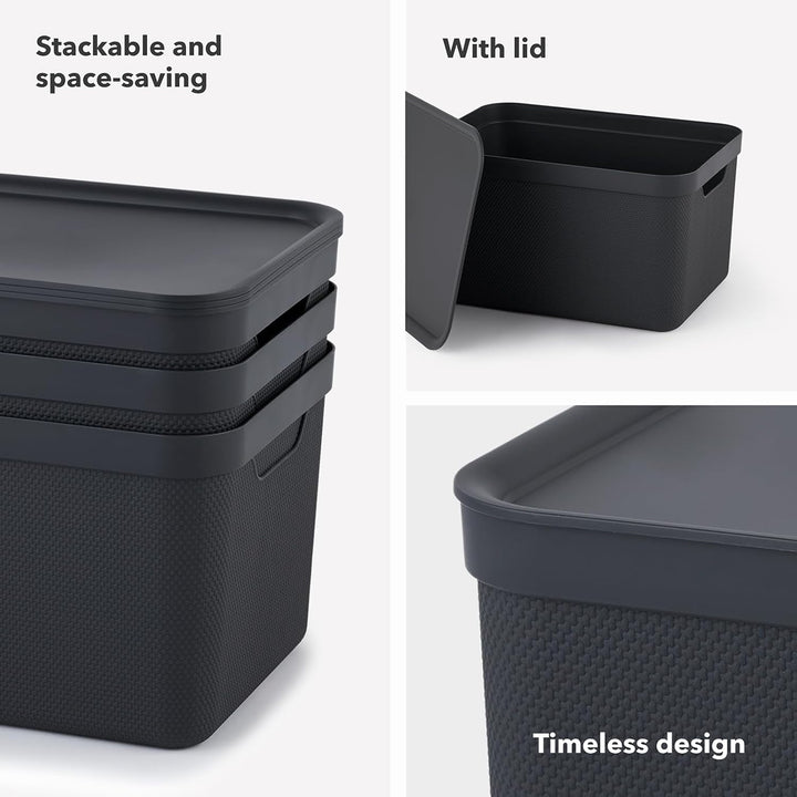 Jive Dekobox 3er- Set Aufbewahrungsbox 16l mit Deckel, Kunststoff (PP recycelt), dunkelgrau, 3x16l (