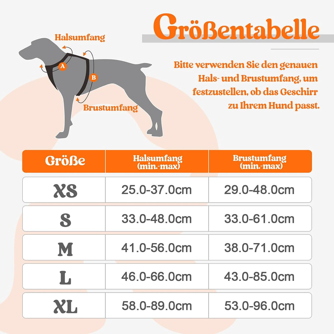 rabbitgoo Hundegeschirr Kleine Hunde, Anti Zug Geschirr mit Kontrolle, No Pull Verstellbar Hundegesc