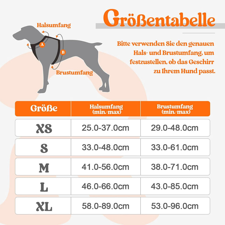 rabbitgoo Hundegeschirr Kleine Hunde, Anti Zug Geschirr mit Kontrolle, No Pull Verstellbar Hundegesc