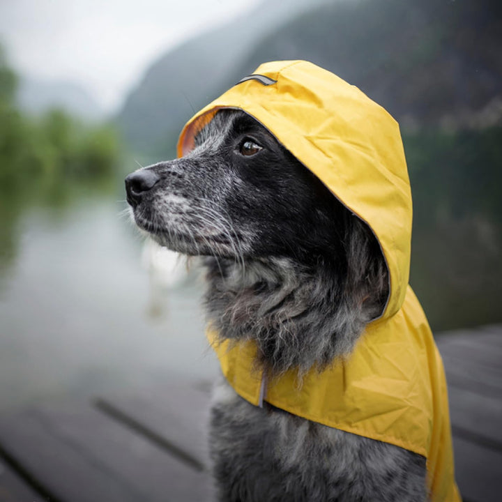 Idepet Regenmantel für Hunde mit Kragenloch Wasserdicht Reflektierend Winddicht Poncho Regenjacke mi