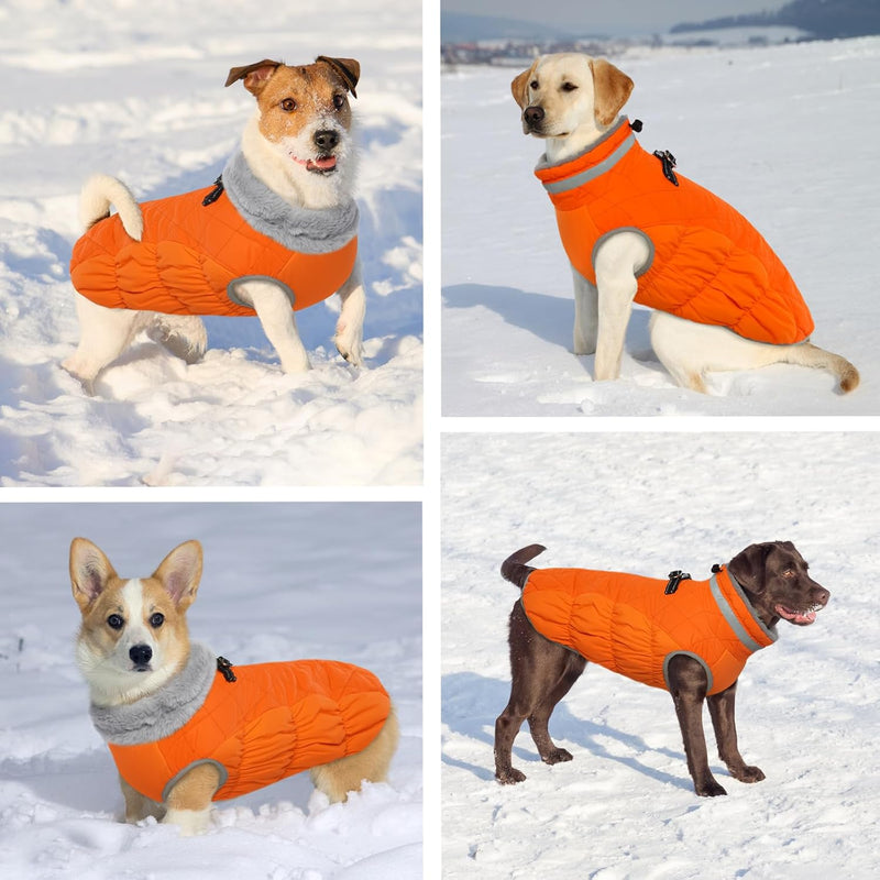 Hjumarayan Hundemantel für Kleine Mittelgrosse Grosse Hunde, Hundejacke Warme Hundeweste Wintermante