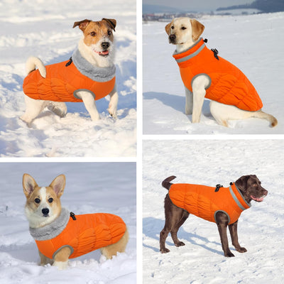 Hjumarayan Hundemantel für Kleine Hunde - Winter mit Geschirr Wintermantel Wasserdicht Mantel Gefütt