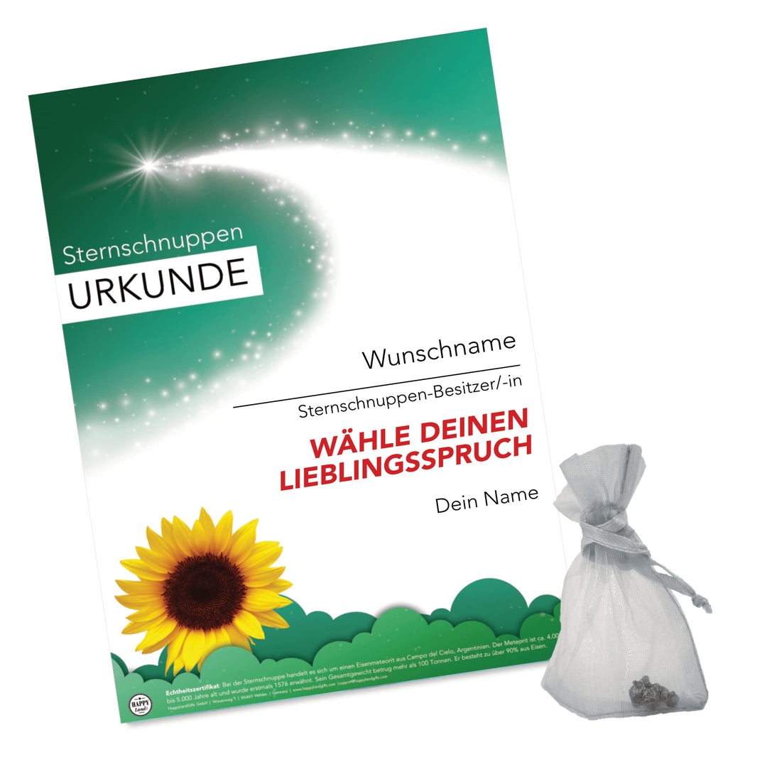 happylandgifts® Premium | Echte Sternschnuppe zum Danke Sagen | Personalisierte Urkunde mit Wunschna