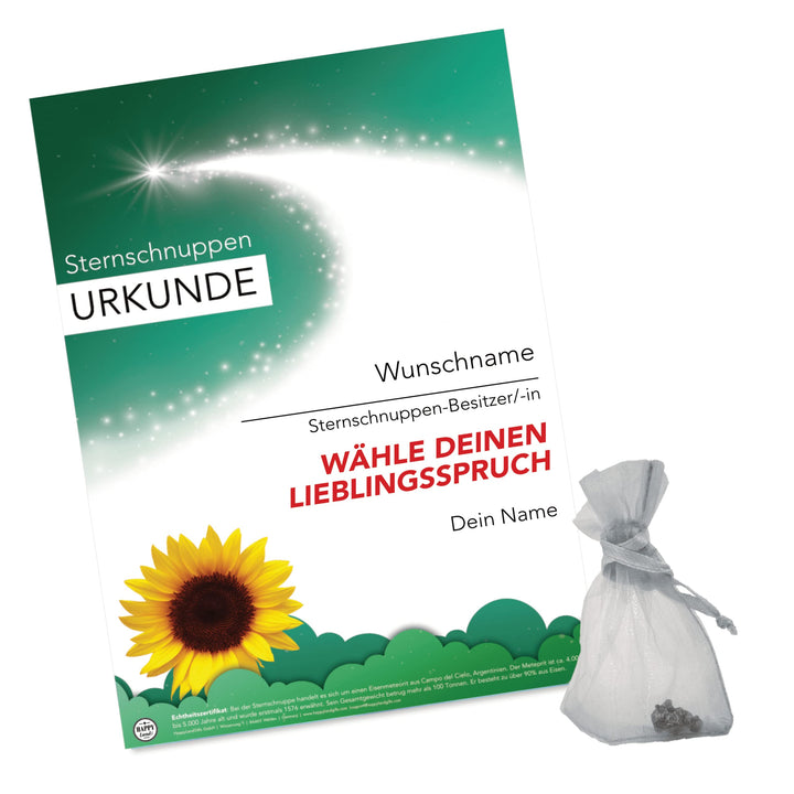 happylandgifts® Premium | Echte Sternschnuppe zum Danke Sagen | Personalisierte Urkunde mit Wunschna