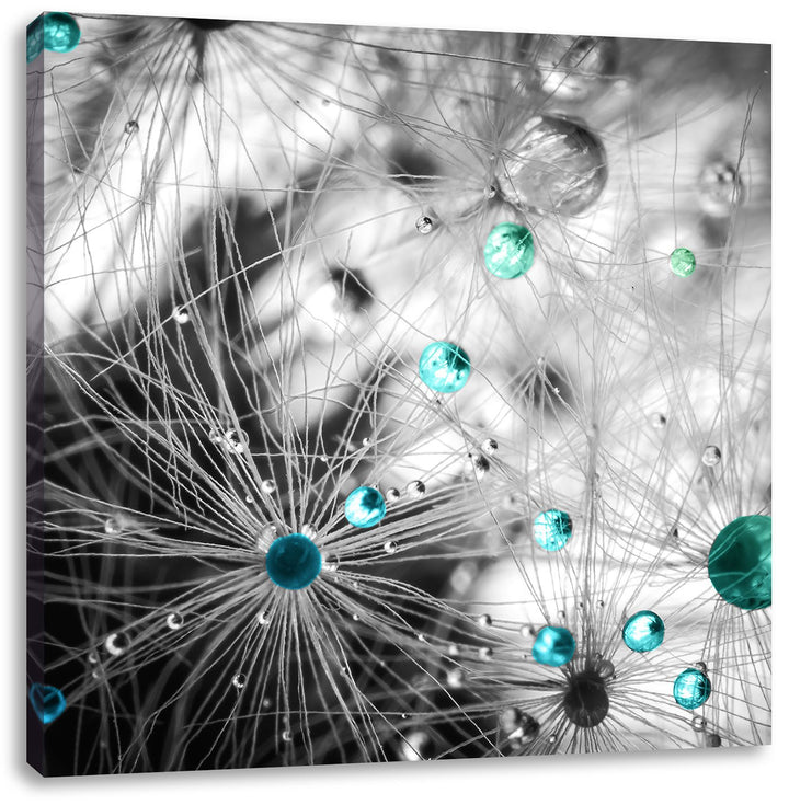 Pixxprint Wassertropfen auf Pusteblumensamen schwarz/weiss, Format: 70x70 auf Leinwand, riesige Bild