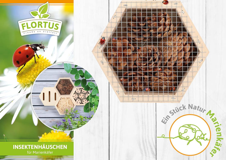 FLORTUS Insektenhotel Marienkäfer | naturbelassenes Marienkäferhaus 15 x 13 x 6 cm | Ladybug Haus fü