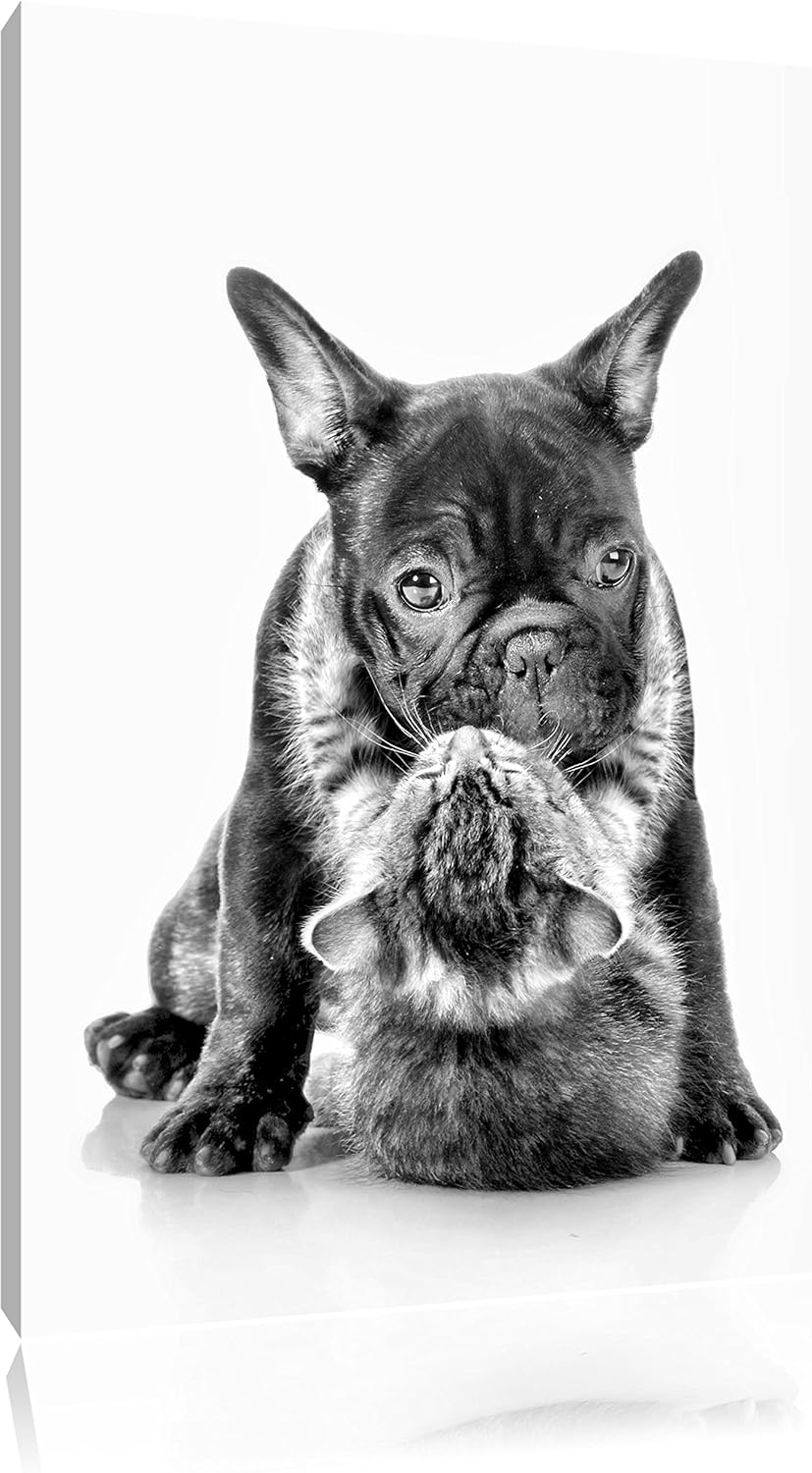 Pixxprint Monocrome, Katze und Mobs Freunde fürs Leben, Format: 100x70 auf Leinwand, 100x70