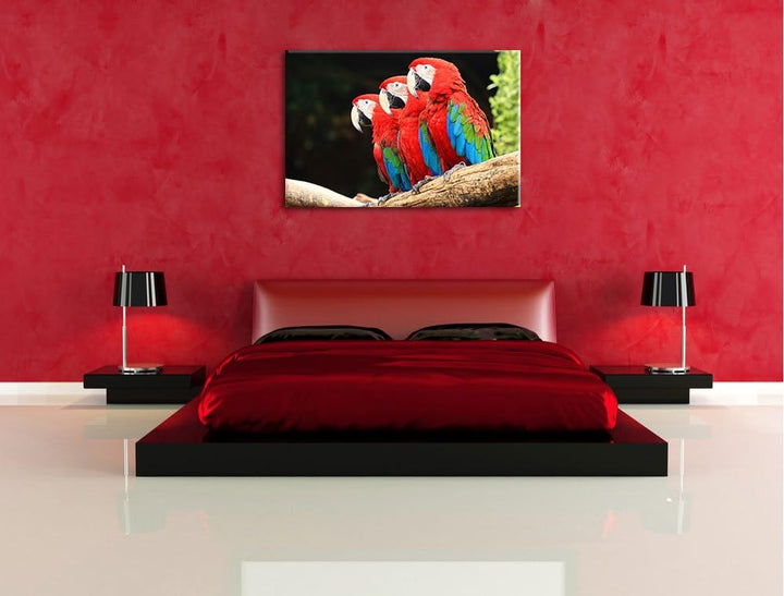 Papageien auf AST Format: 100x70 auf Leinwand, XXL riesige Bilder fertig gerahmt mit Keilrahmen, Kun