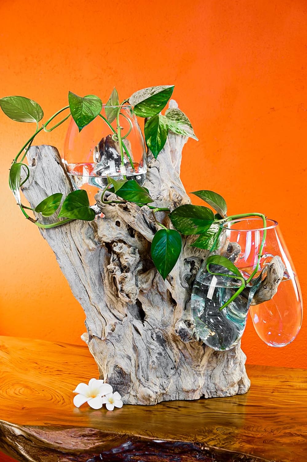 Geschmolzenes Glas auf Wurzelholz - Glasschale auf Wurzel - Teak Holz mit Glasvase oder Schale (2 Gl