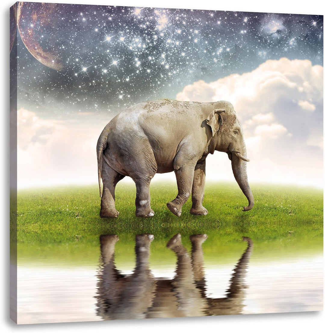 Pixxprint Einsamer Elefant unter Sternenhimmel, Format: 70x70 auf Leinwand, 70x70