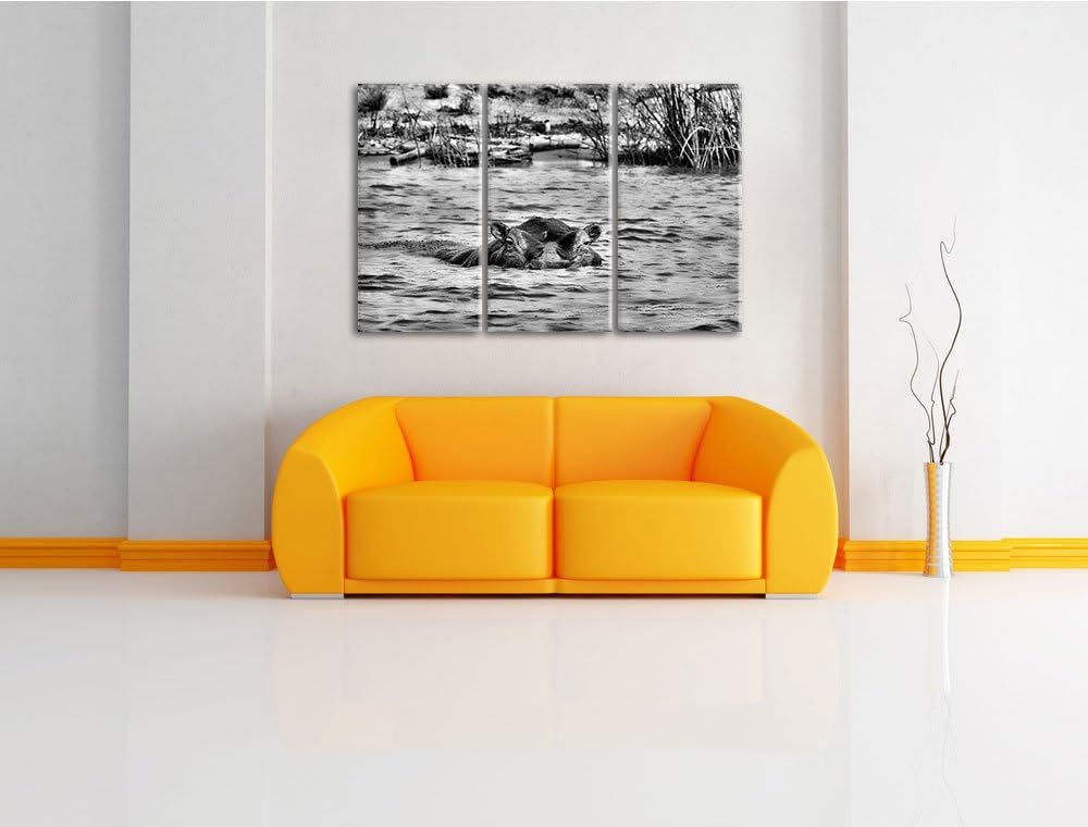Pixxprint Monocrome, schwimmendes Flusspferd 3-Teiler Leinwandbild 120x80 Bild auf Leinwand