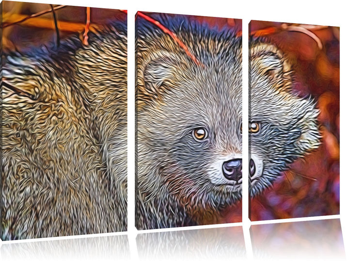 scheuer Waschbär Spezial 3-Teiler Leinwandbild 120x80 Bild auf Leinwand, XXL riesige Bilder fertig g