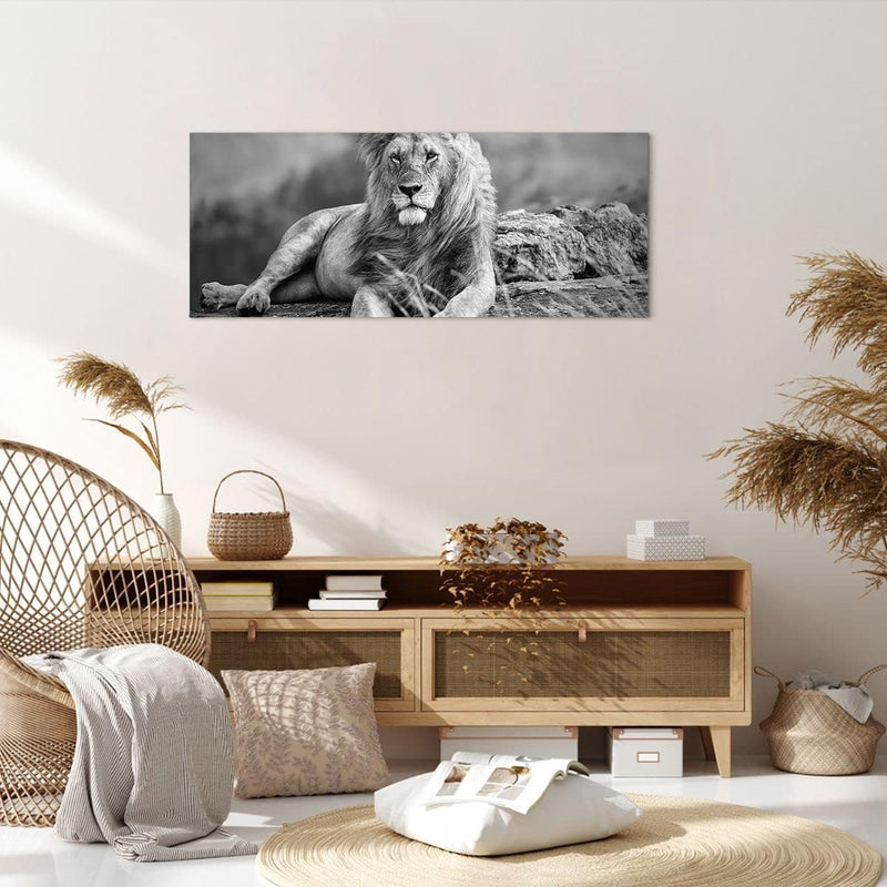 Panorama Bilder auf Leinwand 100x40cm Leinwandbild mit Rahmen Löwe Tier Natur Gross Wanddeko Bild Sc