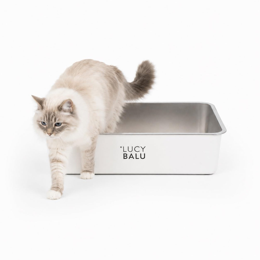 LucyBalu® Edelstahl Katzenklo geruchsfrei | grosse Katzentoilette aus Edelstahl | offenes Katzenklo