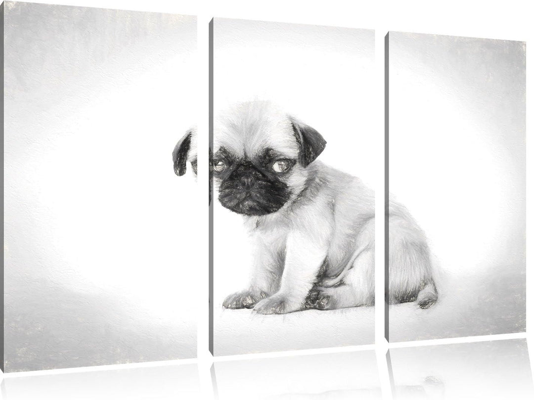 Pixxprint Kleiner Hundewelpe Mops als Leinwandbild/Grösse: 3 Teilig (120x80) cm/Wandbild/Kunstdruck/