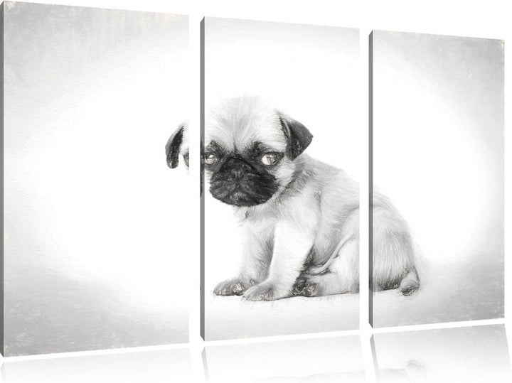 Pixxprint Kleiner Hundewelpe Mops als Leinwandbild/Grösse: 3 Teilig (120x80) cm/Wandbild/Kunstdruck/