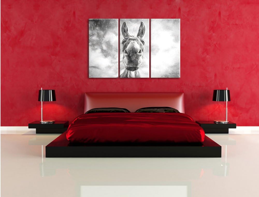 Pixxprint Lustiger Esel Kunst als Leinwandbild | Grösse: 3 Teilig (120x80) | Wandbild| Kunstdruck |