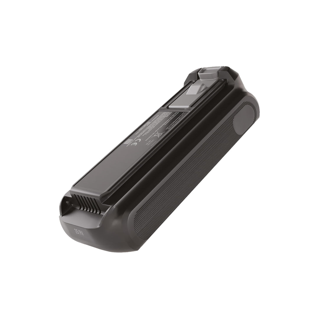Rowenta X-Force 25.9 V Zusatzakku, herausnehmbarer Akku für kabellose Staubsauger, kompatibel mit X-
