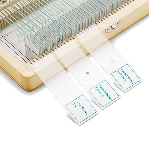 SWIFT 50 Vorgefertigte Mikroskop-Dias Set für die Biologische Wissenschaft, mit Holzkoffer PS50, PS5