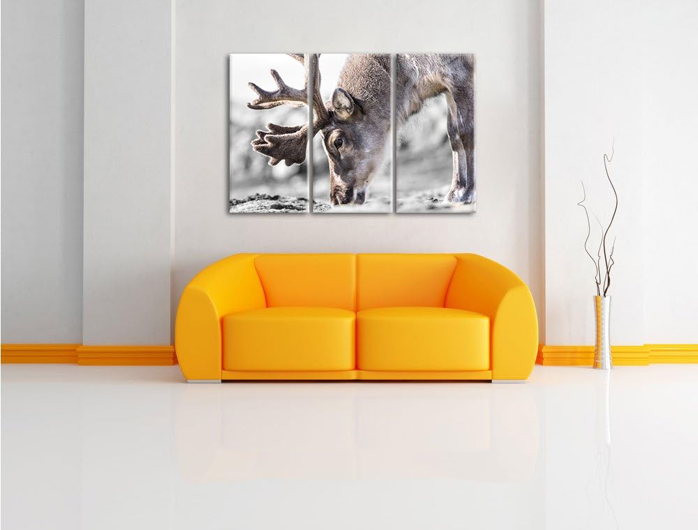 Pixxprint süsses Rentier beim Essen / 3-Teilig/Gesamtmass 120cm Leinwandbild bespannt auf Holzrahmen