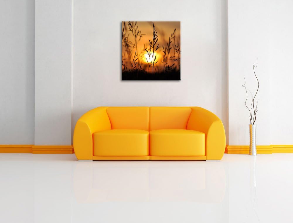 Gras bei Sonnenuntergang, Format: 70x70 auf Leinwand, XXL riesige Bilder fertig gerahmt mit Keilrahm