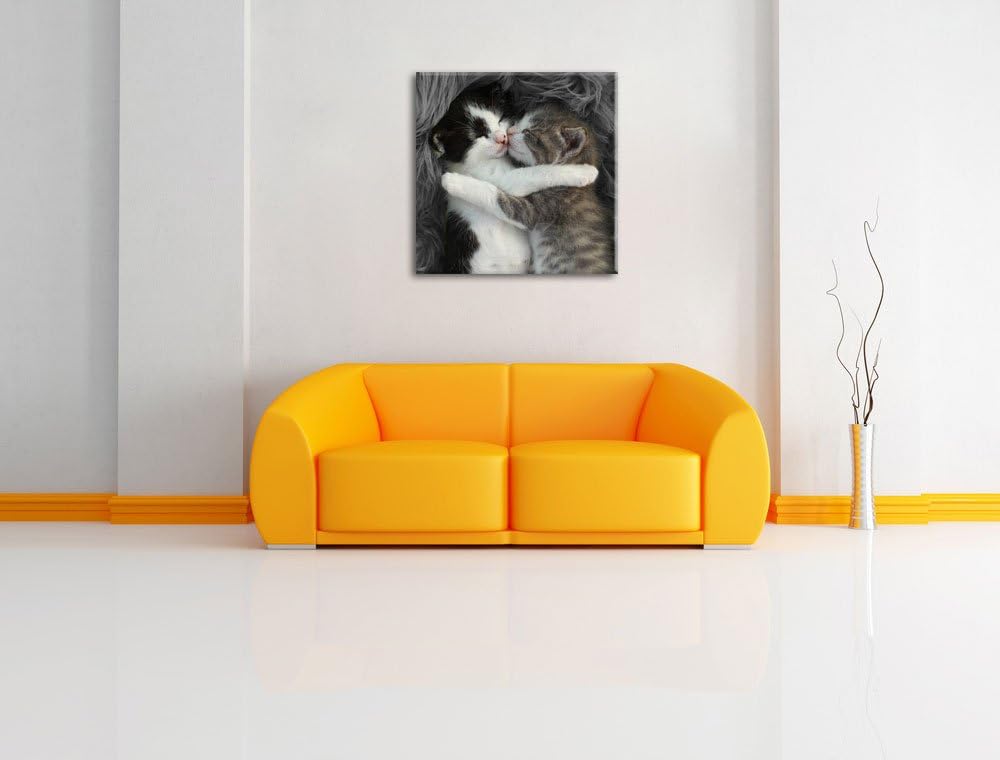 Pixxprint Zwei kuschelnde Kätzchen als Leinwandbild | Grösse: 70x70 cm | Wandbild | Kunstdruck | fer