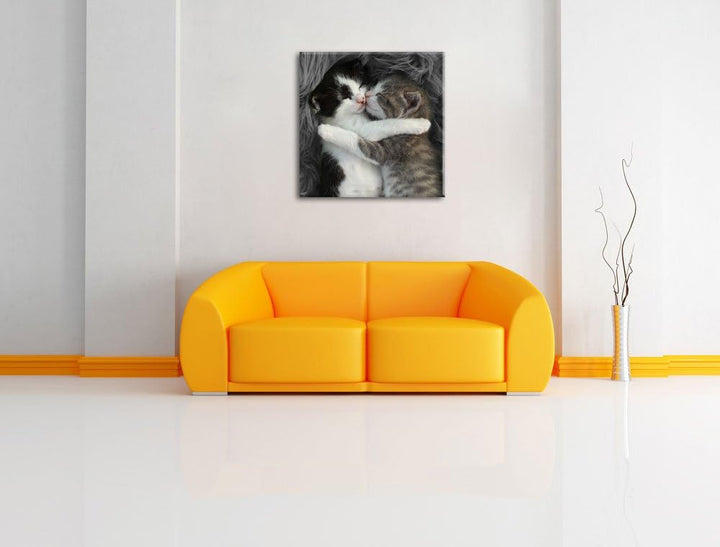 Pixxprint Zwei kuschelnde Kätzchen als Leinwandbild | Grösse: 70x70 cm | Wandbild | Kunstdruck | fer