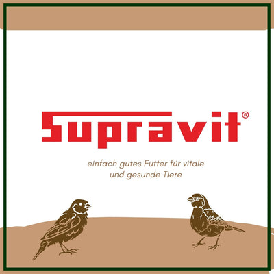 SUPRAVIT Hanf 25kg - Hanfsamen Vogelfutter & Wildvogelfutter - energiereiche Ergänzung zum Körnerfut