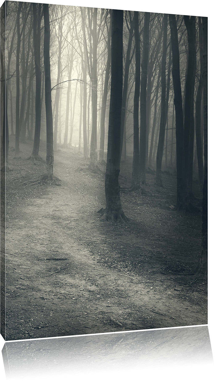 Pixxprint Düstere Landschaft schwarz weiss, Format: 100x70 auf Leinwand, 100x70