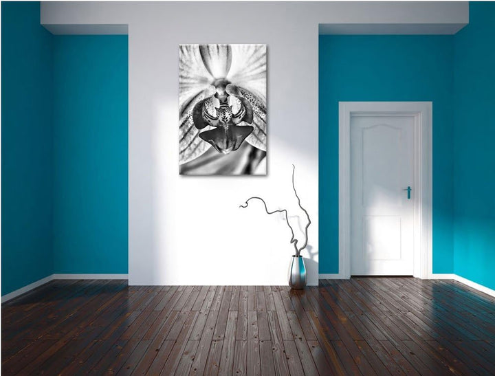 Pixxprint Monocrome, schöne Orchidee, Format: 100x70 auf Leinwand, 100x70