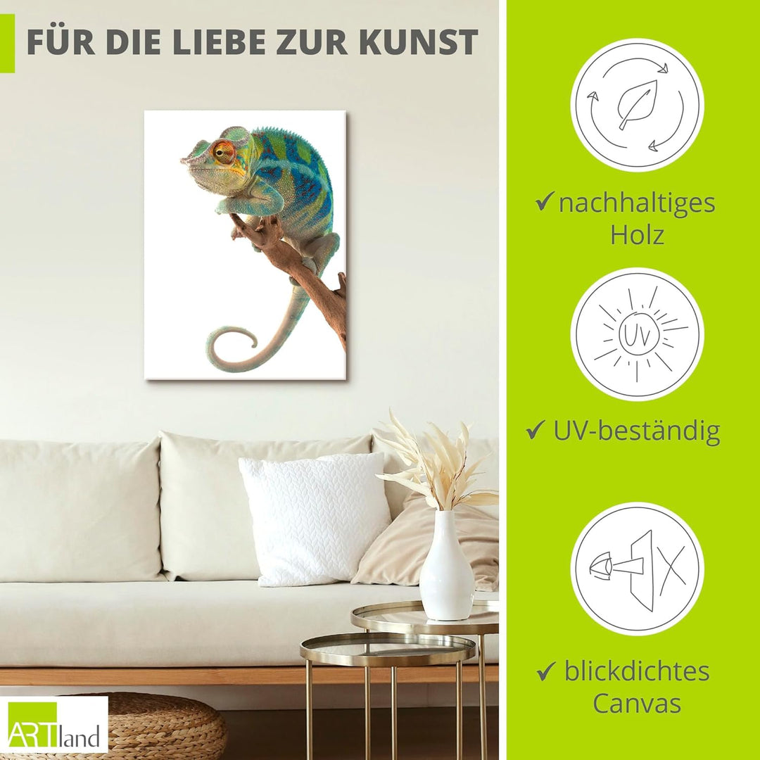 ARTland Leinwandbilder Wandbild Bild auf Leinwand 60x80 cm Tiere Reptilien Chamäleon Madagaskar Zoot