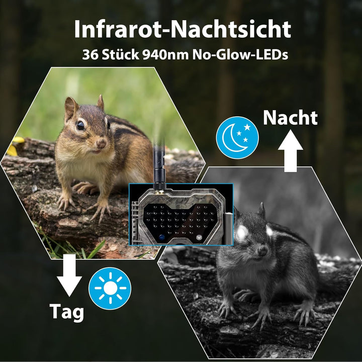 S970 4G LTE Wildkamera, 48MP 1296P, Mit Live Streaming Funktion, Nachtvision, 0.1s Bewegungsaktivier