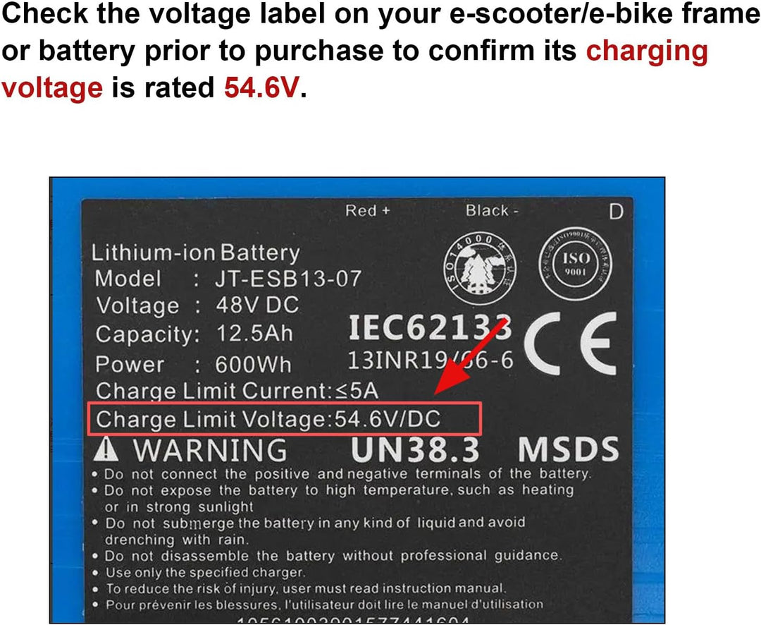 Labtec 54,6V 48V 2A Ladegerät Ladekabel für 48V 2A 13S Li-on Akkus E-Bike Elektrofahrrad Pedelec Hov