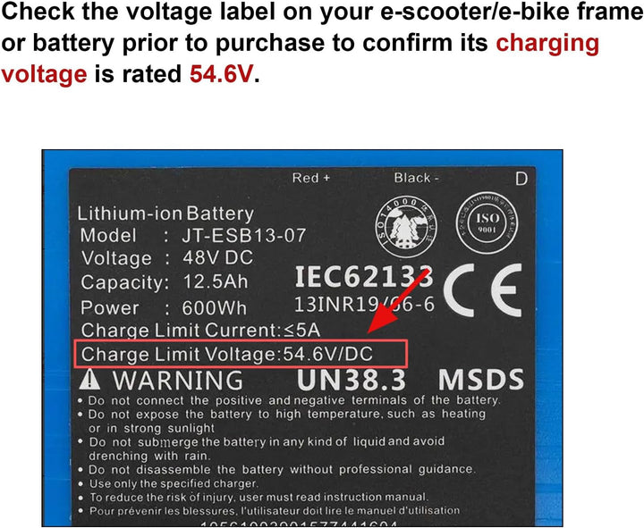 Labtec 54,6V 48V 2A Ladegerät Ladekabel für 48V 2A 13S Li-on Akkus E-Bike Elektrofahrrad Pedelec Hov