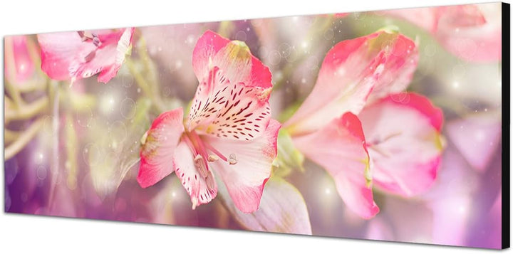 Paul Sinus Art Panoramabild auf Leinwand und Keilrahmen 150x50cm Blumen Farbfilter rosa pink