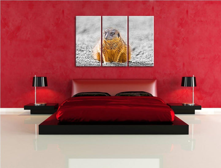 schüchternes Erdmännchen schwarz/weiss Deluxe 3-Teiler Leinwandbild 120x80 Bild auf Leinwand, XXL ri