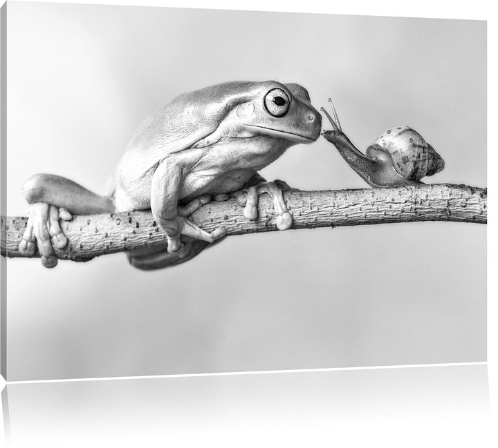 Pixxprint Frosch und die Schnecke als Leinwandbild/Grösse: 100x70 cm/Wandbild/Kunstdruck/fertig besp