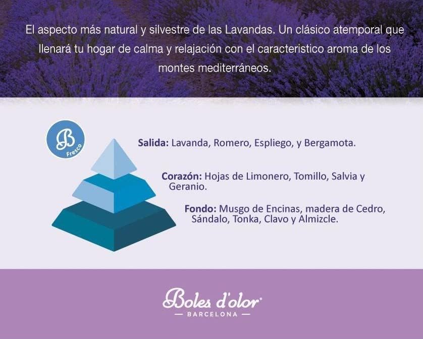 Duftöle Bruma Ambients 50 ml Boles d'olor LAVENDEL