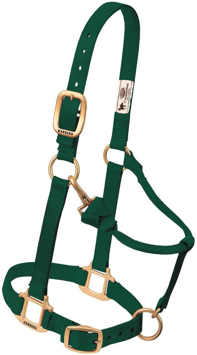 Weaver Leather Original verstellbares Nylonhalfter für Pferde Suckling hunter green, Suckling hunter