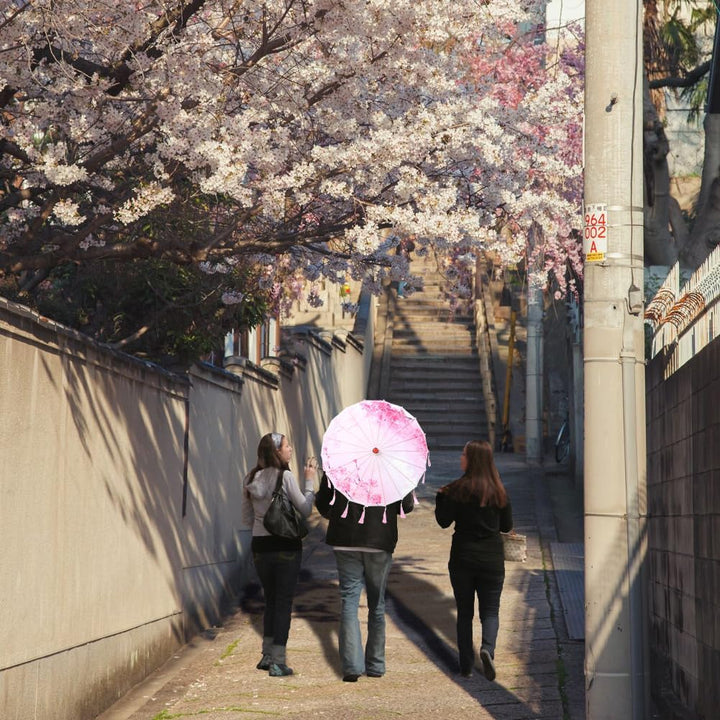 Handgefertigter Regenschirm aus Geöltem Papier, Sonnenschirm Orientalisch Halbrund Chinesischer Sonn