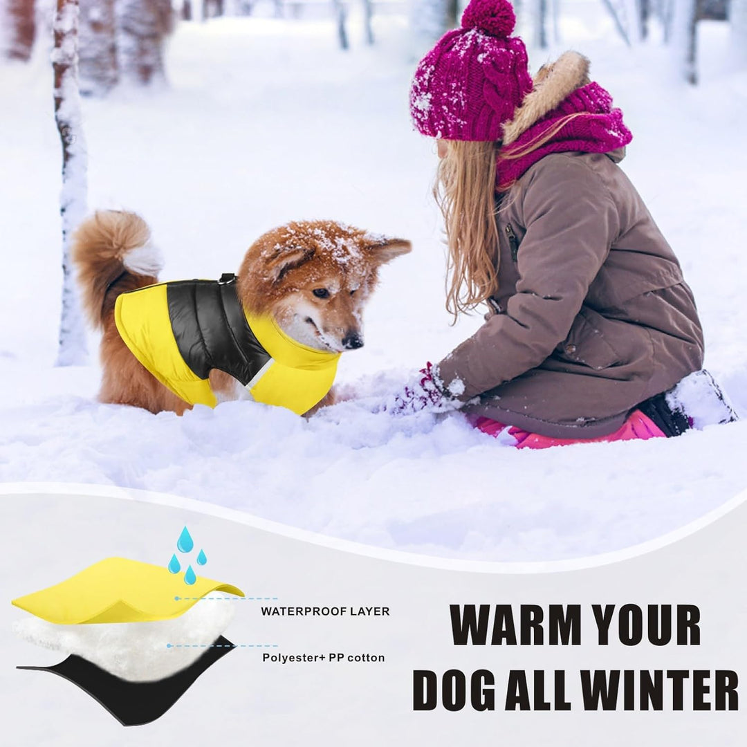 Idepet Haustier Hund Warm Mantel Jacke wasserdichte Kleidung Kleine mittlere grosse Haustier Hund Ka