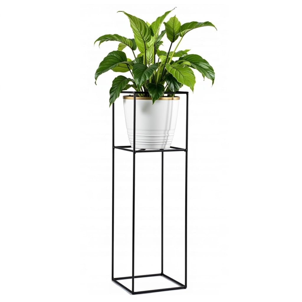 Pflanzenständer Filo - 24x24x80cm - Farbe Schwarz - für Zimmerblumen - Metallregal - Dekorativer Tis