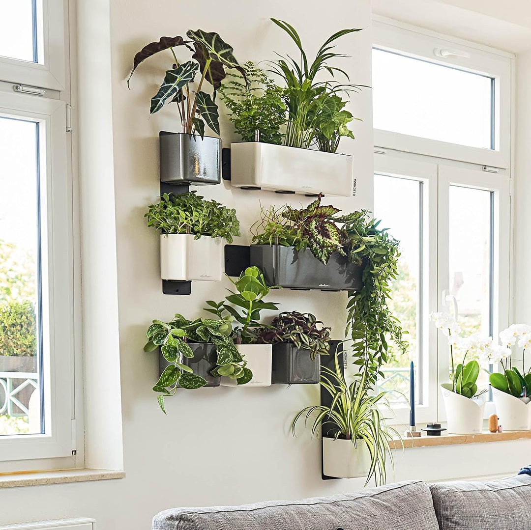 LECHUZA CUBE Glossy Green Wall Home Kit weiss-highgloss 13523 48x14x10 cm Weiss-highgloss, 48x14x10