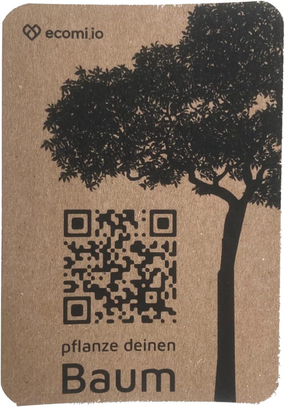 Vermiculite-Platte (2, 400 x 300 x 20 mm) + GRATIS 1 echten Baum pflanzen 2 400 x 300 x 20