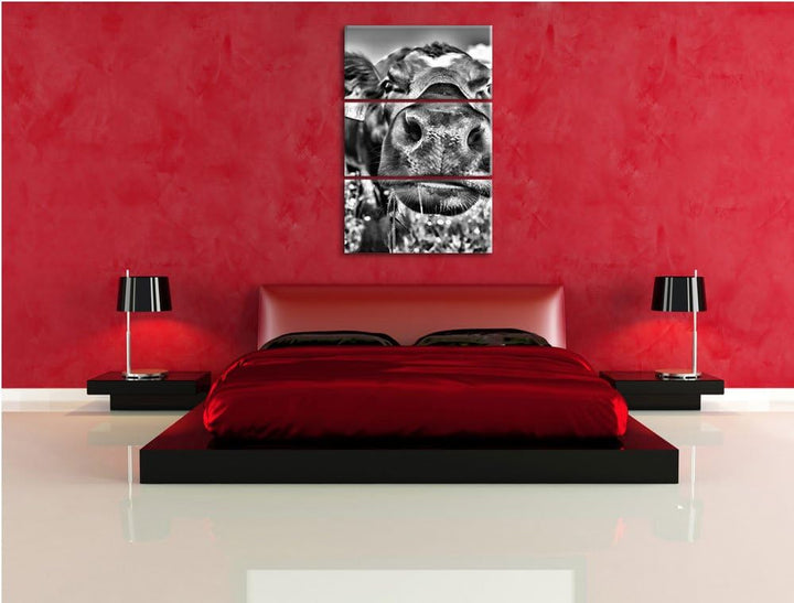 Pixxprint Monocrome, Süsse Alpen Kuh auf Bergwiese 3-Teiler Leinwandbild 120x80 Bild auf Leinwand